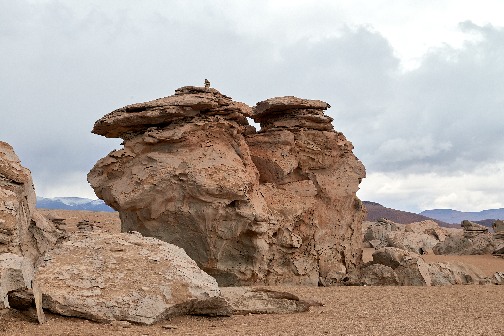 20200313 513 [볼리비아] 아르볼 데 삐에드라 돌 나무
